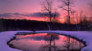 Ma Frozen Pond Wallpaper