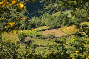 Macedonia Vast Grasslands Wallpaper