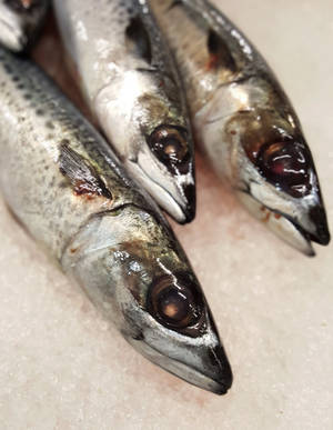 Mackerel Fish On Table Wallpaper