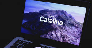 Macos Catalina On Laptop Screen Wallpaper