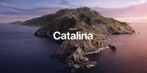 Macos Catalina Sixteenth Release Wallpaper