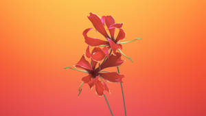 Macos Mojave Flame Lily Wallpaper