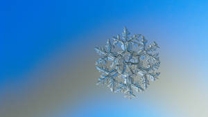 Macro Photo Of Frosted Snowflake Wallpaper