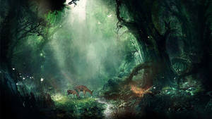 Magical Fantasy Forest Wallpaper