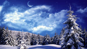 Magical Winter Wonderland Wallpaper