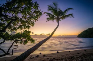 Magnificent Nananu-i-ra Island Beach Scene In Full Hd Quality Wallpaper