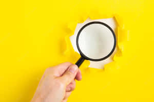 Magnifying Glass Yellow Background Photography Wallpaper