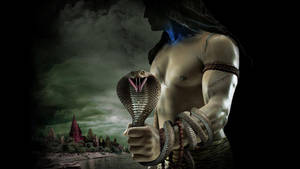 Mahadev And Vasuki Wallpaper