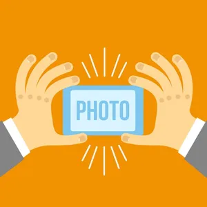 Majestic African Elephant Wallpaper