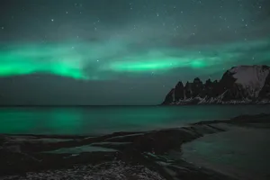 Majestic Aurora Borealis Wallpaper