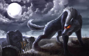 Majestic Black Wolf Prowling The Graveyard Wallpaper