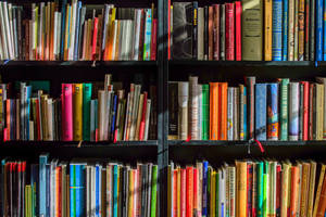 Majestic Black Wooden Bookshelf Wallpaper