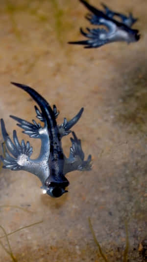 Majestic Blue Dragon In Its Enchanted Lair Wallpaper