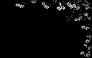 Majestic Dark Butterfly With Vibrant Colors Wallpaper