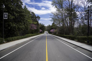 Majestic Duke University Roads Amidst Classic Architecture Wallpaper