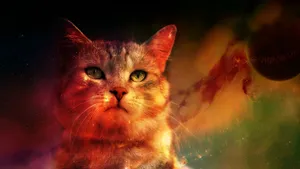 Majestic Ginger Cat Wallpaper