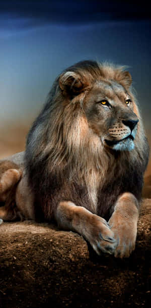 Majestic Lion Wallpaper