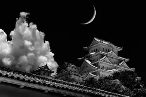 Majestic Monochrome View Of Himeji Castle In Japan Wallpaper