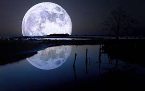 Majestic Moon Reflection Over Serene Waters Wallpaper