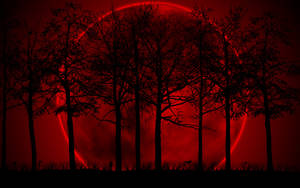 Majestic Nightfall - Beautiful Dark Trees Silhouetted Against A Blood Moon Wallpaper