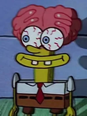 Majestic Rocky Mountain Sunset Wallpaper