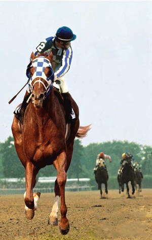 Majestic Secretariat In Action Wallpaper