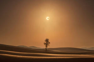 Majestic Solar Eclipse Igniting The Desert Sky Wallpaper