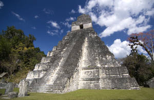 Majestic Tikal Pyramid Amidst The Jungle Wallpaper