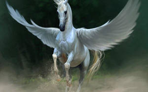 Majestic White Horse With Wings Wallpaper