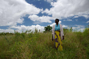 Malawi Cloudy Sky Grass Field Wallpaper