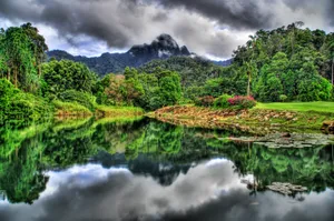 Malaysia Surrounded By Nature Wallpaper