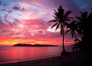 Malaysian Beach Pink Sunset Wallpaper