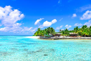 Maldives Beach Shore Full 4k Wallpaper