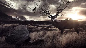 Male Deer In Dusk Wallpaper