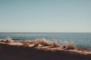 Malibu Beach Vintage Aesthetic Desktop Wallpaper