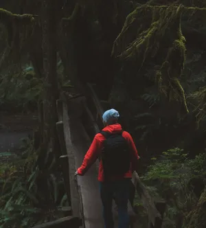 Man In Forest Alone Phone Background Wallpaper