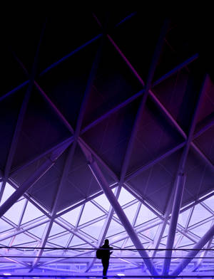 Man In Purple Architecture Wallpaper