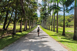 Man Walking In Barbados Wallpaper