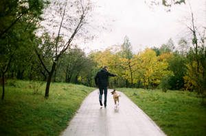 Man With Dog Best Autumn Wallpaper