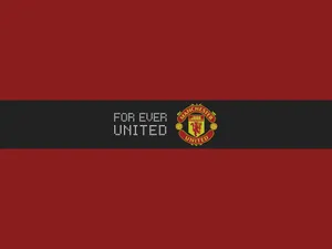 Manchester United's Star-studded Team - Ready For A New Season! Wallpaper