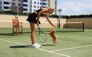 Maria Sharapova Pomeranian Dolce Wallpaper