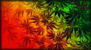 Marijuana Rainbow Art Wallpaper