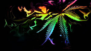 Marijuana Weed Abstract Wallpaper