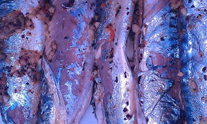 Marinated Mackerel Fishes Wallpaper