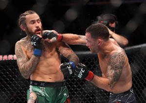 Marlon Vera Evade Punch Wallpaper