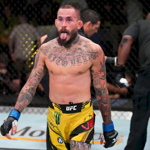 Marlon Vera Yellow Walking Wallpaper