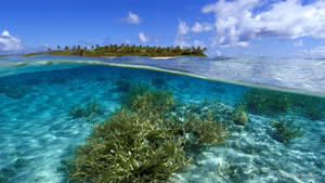 Marshall Islands Aituk Atoll Wallpaper