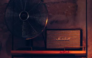 Marshall Speaker With Fan Wallpaper