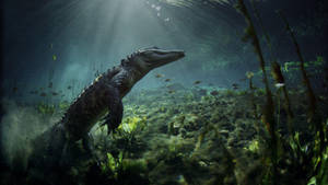 Marvel At The Majestic Crocodile In Everglades National Park Wallpaper