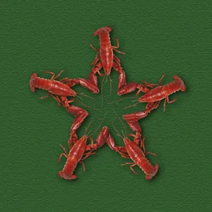 Marvel At The Underwater Symphony Of Crayfish Wallpaper
